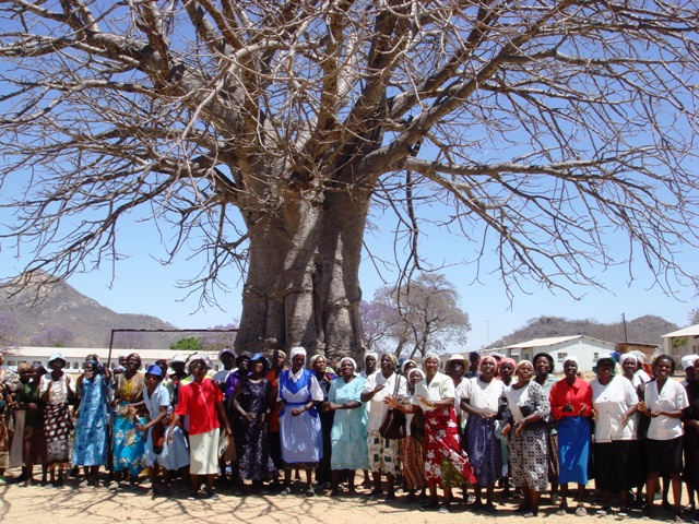 baobab-chc baobab-chc